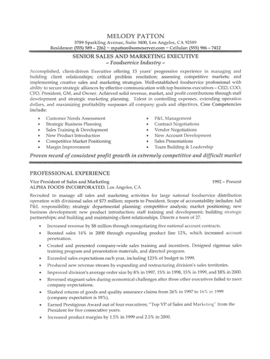 resume template 2017 sales professional doc free